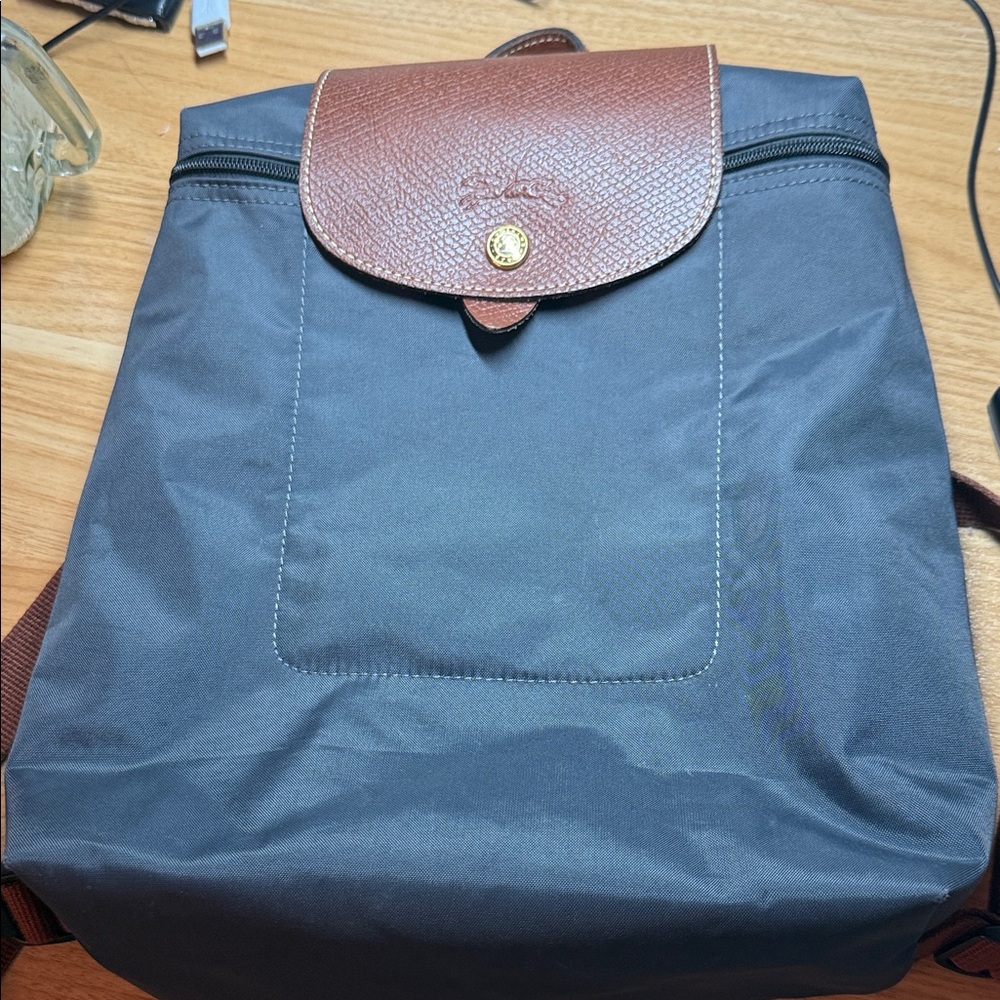 Longchamp Backpack